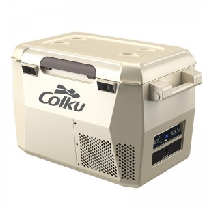 Special Design for 12V DC Portable Mini Car Fridge Freezer